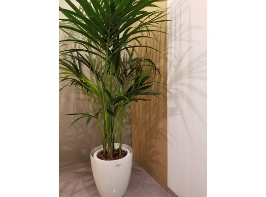 ネイルサロン　京都　四条烏丸　onetone　烏丸御池　人気